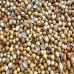 Kişniş Tohumu Tane 100 Gr