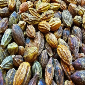 Sarı Halile 250 Gr