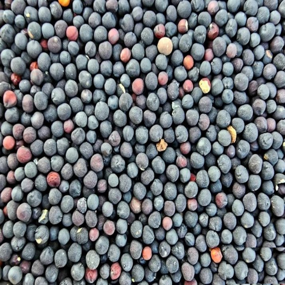 Siyah Hardal Tohumu 100 Gr