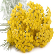 Altın Otu (Ölmez Çiçek – Ölümsüz Çiçek) 50 Gr