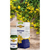 Kantaron Yağı 50 ml