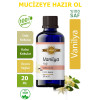 Vanilya Yağı 20 ml